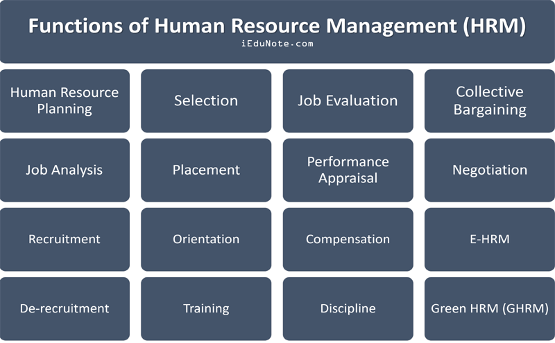 What is the main function of HR Planning